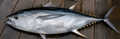5Lb Frozen Tuna