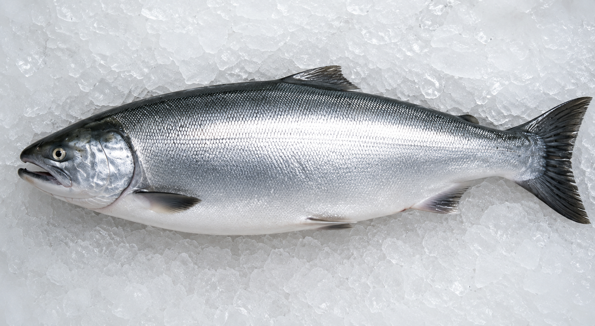 5Lb Frozen coho box