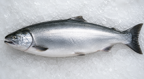 5Lb Frozen coho box